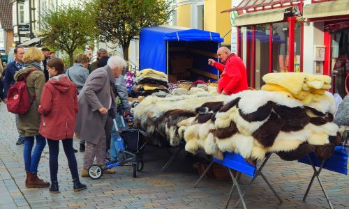 Bruchmarkt-Lemgo10