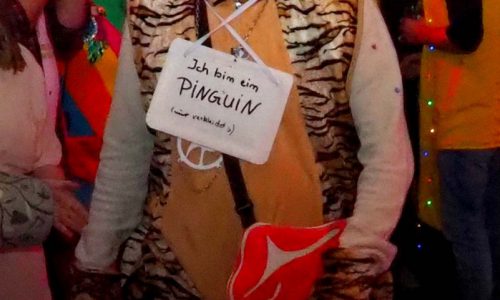 Katzenfutter-Karneval31