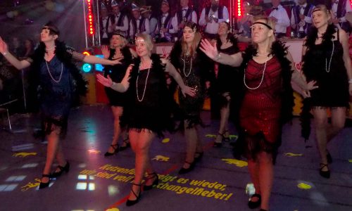 Katzenfutter-Karneval32