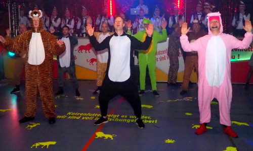 Katzenfutter-Karneval38