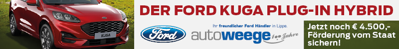 Ford Kuga Plug-In Hybrid Förderung