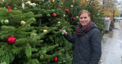 40 Weihnachtsbäume in der Bielefelder Innenstadt