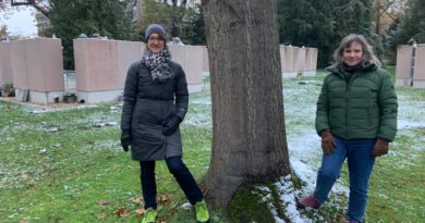 Grüne beantragen neues Friedhofskonzept für Lemgo