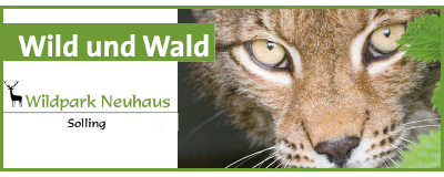 Niedersächsische Landesforsten Tierpark Solling mit Bild einer Wildkatzenart