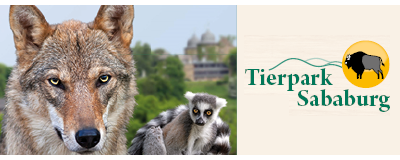 Bild von Wolf und Lemur sowie Logo von Tierpark Sababurg vor hellgelbem Hintergrund