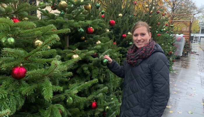 40 Weihnachtsbäume in der Bielefelder Innenstadt