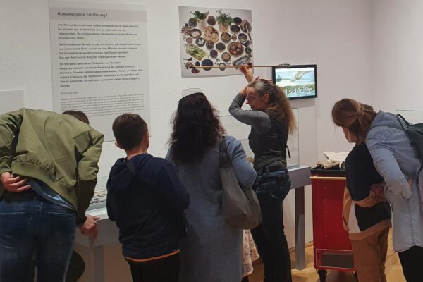 Führung Lippisches Landesmuseum