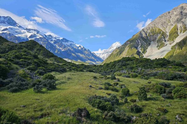 Landschaft Neuseeland