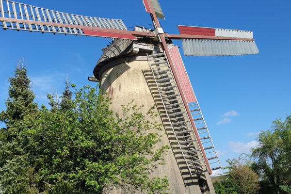 Windmühle Brink