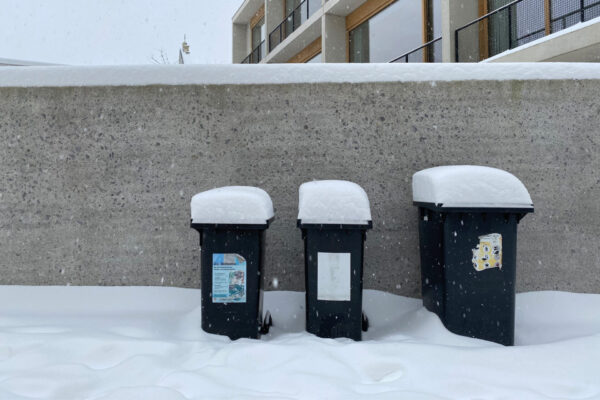 Wenn die Biotonne friert - Tipps für den Winter