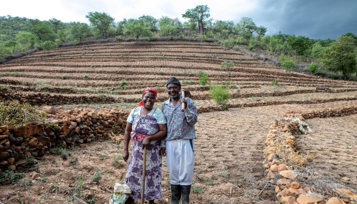 Gift Dirani (65) und seine Frau Evelyn (61) leben mit 5 ihrer 11 Kinder und 3 Enkelkindern auf ihrem Hof in Nyanyadzi, Chimanimani an der Ostgrenze Simbabwes. Die Region hat eine schwere Dürre erlebt und ist vom Klimawandel stark betroffen. Dadurch sind die Kleinbauern von großen Verlusten bei der Ernte und dem Viehbestand bedroht.
Projektpartner: Towards Sustainable Use of Resources Organisation (TSURO)