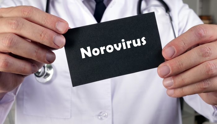 Norovirus-Lippe