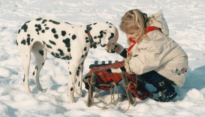 Hundepfoten Pflege im Winter