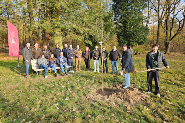 Die ersten drei Bäume der großen Spende sind bereits eingepflanzt.