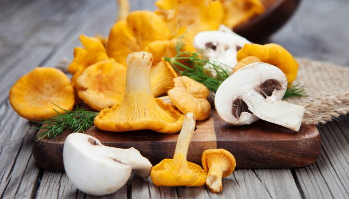 Fresh chanterelle mushrooms and champignons on old wooden background, selective focus. Harvest time
