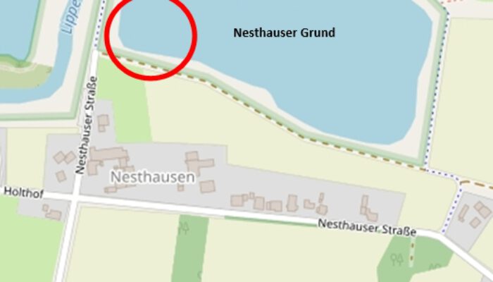 Fundort der Geldkassetten im Nesthauser Grund rot markiert (Karte: OpenStreetMap)