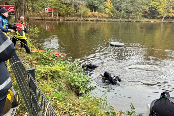 Taucher in den Försterteichen