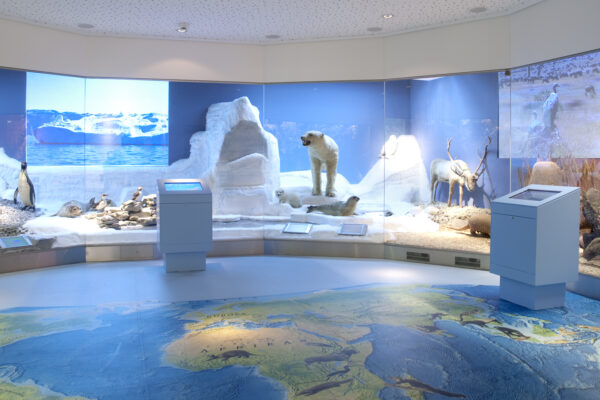 Lippisches Landesmuseum - Polarwelt